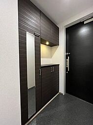 ハルモニアステラ 00201