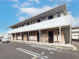 Ａｍａｚｉｎｇ　Ｃｏａｔ　II