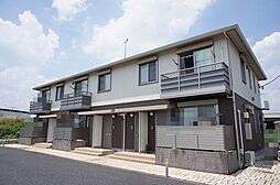 ボタンヴュー　Ｂ