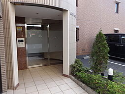 3 / 6
