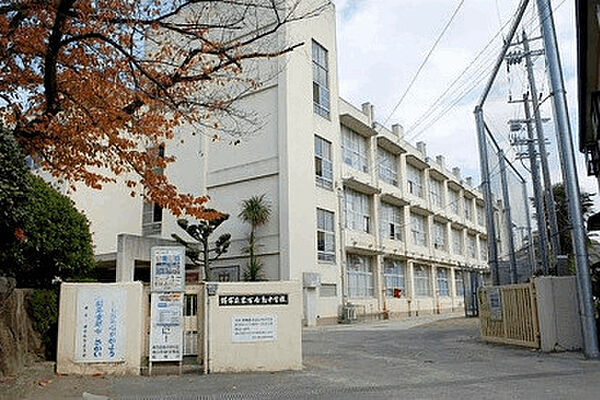 中学校「堺市立中百舌鳥中学校まで852m」