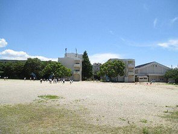 小学校「泉佐野市立末広小学校まで960m」