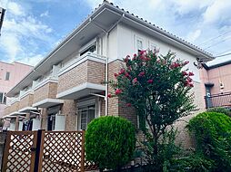 ツリーカシータ