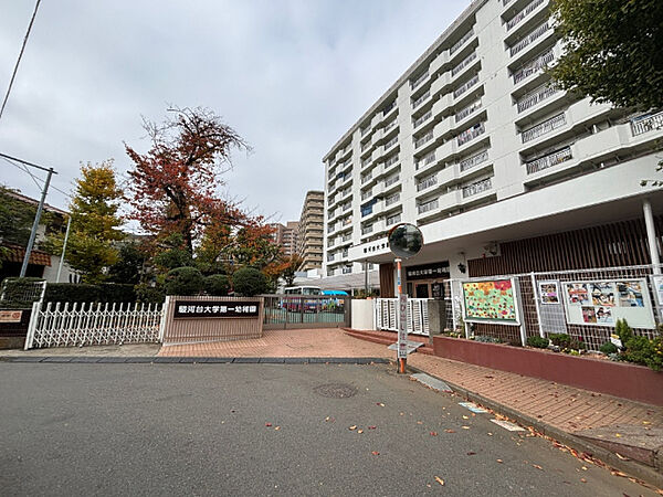 幼稚園、保育園「駿河台大学第一幼稚園まで350m」