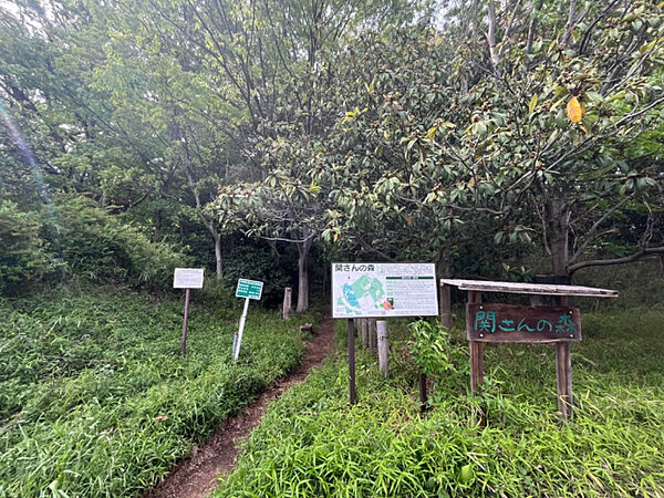 公園「関さんの森まで973m」