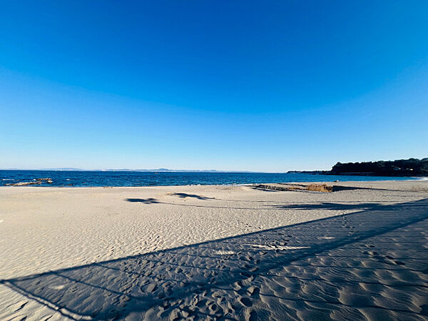 その他「菊名海岸まで300m」