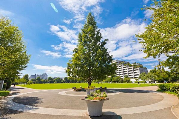 公園「杉並区立桃井原っぱ公園まで901m」
