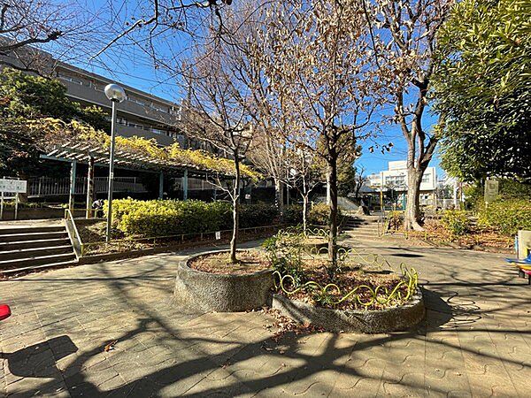 周辺を拡大表示