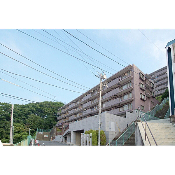 外観：314002830511