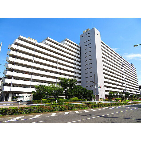 外観：313004629990