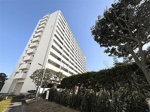 外観：313004687417