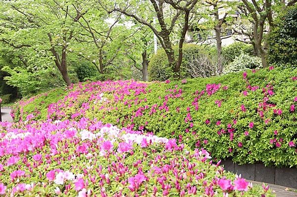 公園「西大井広場公園まで1295m」