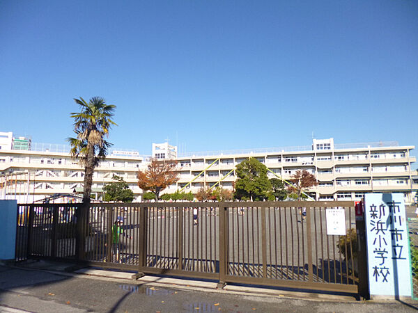 小学校「市川市立新浜小学校まで801m」