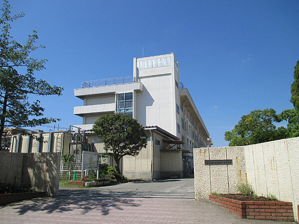中学校「市川市立福栄中学校まで1224m」