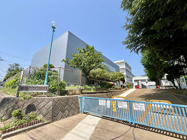 中学校「柏市立大津ヶ丘中学校まで899m」