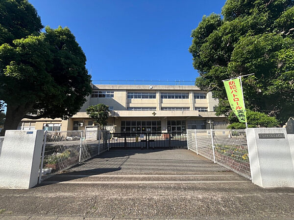 小学校「柏市立酒井根東小学校まで919m」