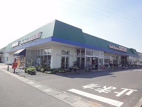 画像26:【スーパー】（株）カスミ 杉戸店まで544ｍ