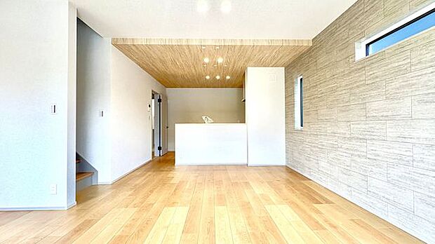 南からの採光で明るいです