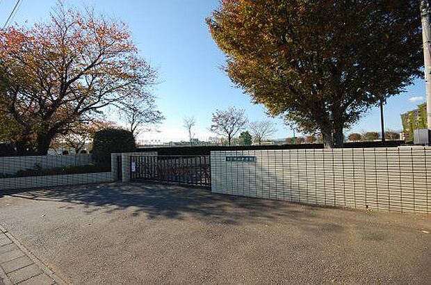 【中学校】野田中学校 1279m