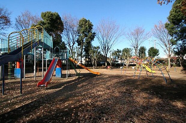 富士見公園　 1000m