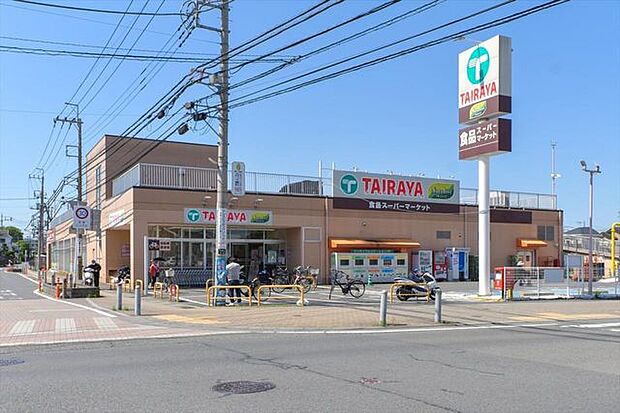 エコス TAIRAYA(タイラヤ) 武蔵藤沢店 510m