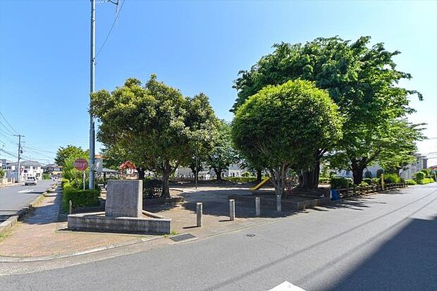 さくら公園 700m