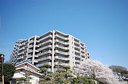 エステ・スクエア武蔵藤沢