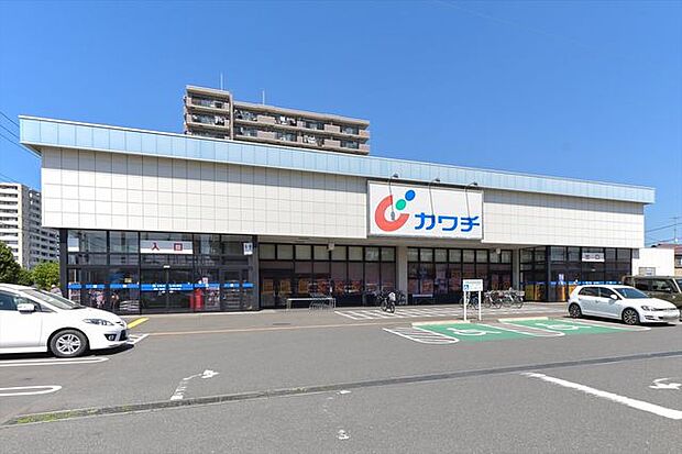 カワチ薬品入間店 徒歩11分。 830m