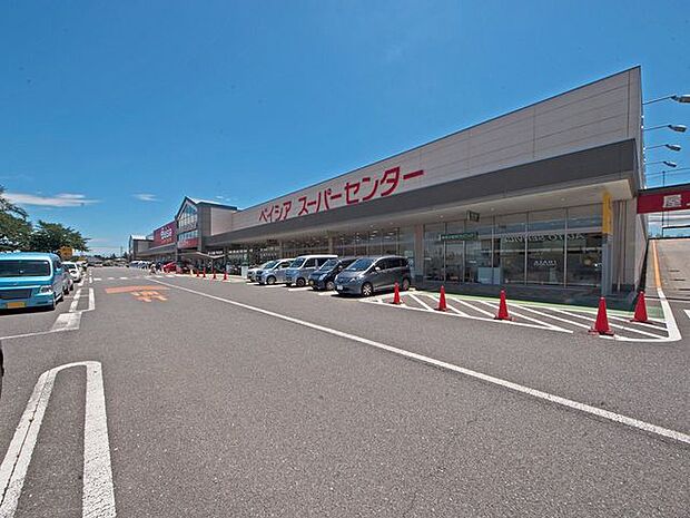 ベイシアひだかモール店 徒歩12分。 950m