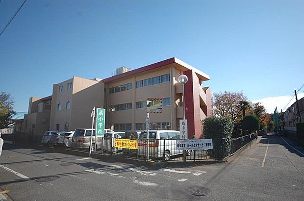 扇小学校 30m
