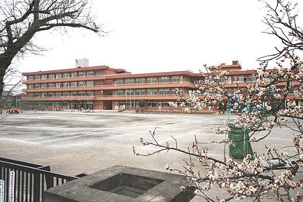 入間市立藤沢東小学校 徒歩6分。 412m