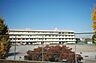 周辺：入間市立高倉小学校 徒歩9分。 700m