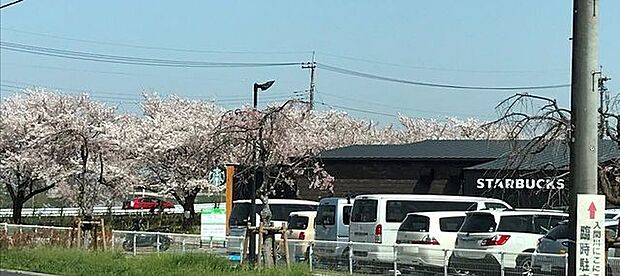 スターバックスコーヒー狭山市入間川にこにこテラス店 徒歩30分。 2330m