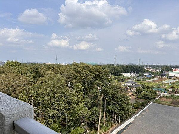 マンションからの眺望