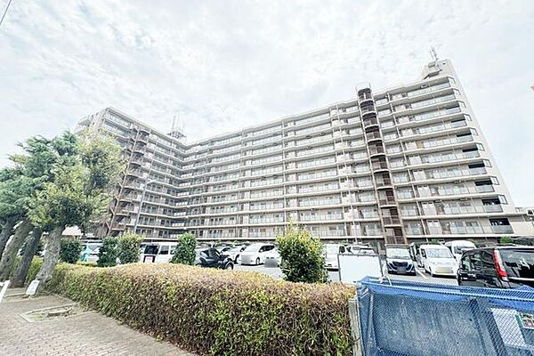 11階建て