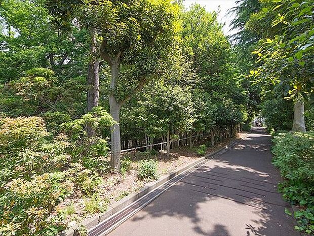 椿峰中央公園 徒歩9分。 650m