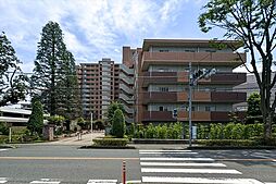 ゼファー所沢ペップスパーク
