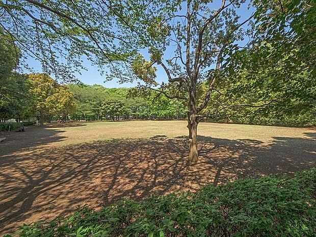 東所沢公園 徒歩14分。 1100m