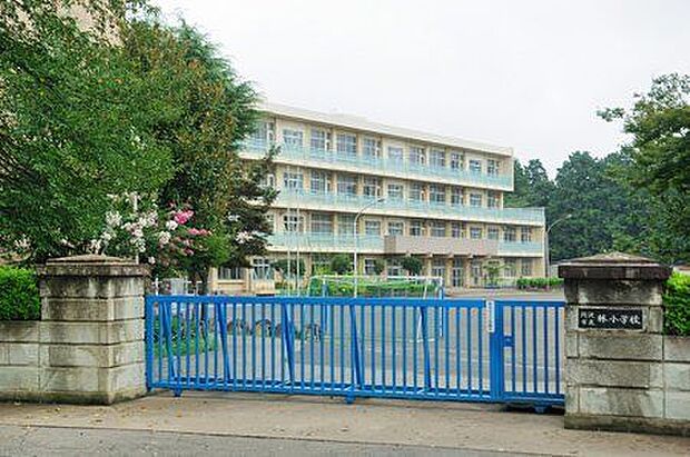 所沢市立林小学校 徒歩10分。 800m