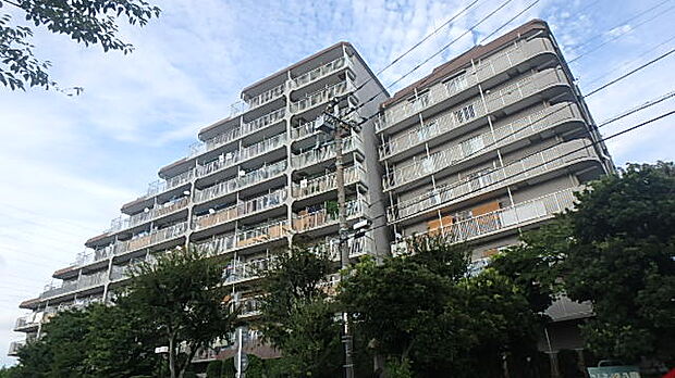 鳩ヶ谷スカイハイツ(4LDK) 4階の外観