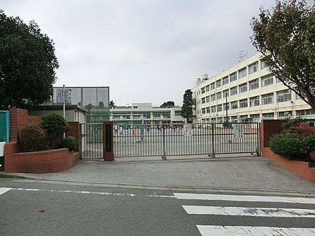 【小学校】横浜市立中沢小学校まで1478ｍ