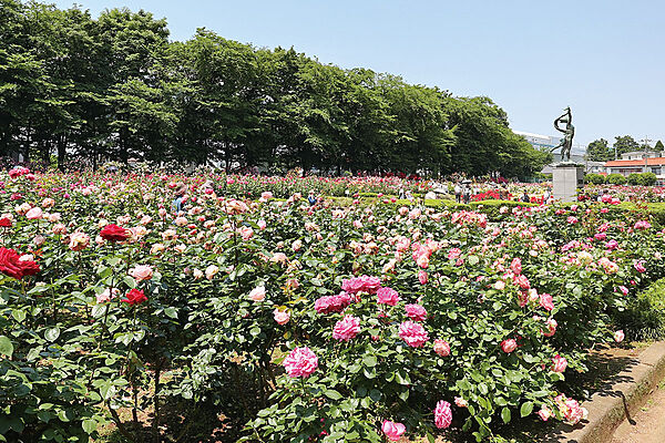 与野公園まで1200ｍ