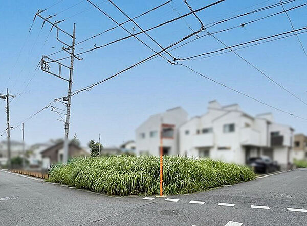 外観：311002485994
