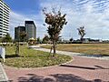 【浦和美園4丁...