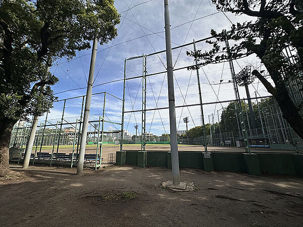 【東綾瀬公園】三世代スポーツ公園として野球場、テニスコート、武道館、温水プールなどを備えており、年齢を問わず楽しめる公園です。