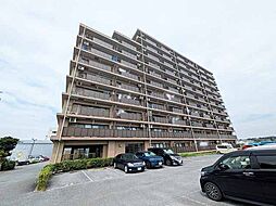 メヌエット八壱