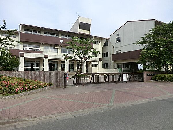（新松戸南小学校）JR常磐線・武蔵野線新松戸駅より徒歩20分　のんびりして明るい雰囲気です。古い学校ですが、校舎はキレイに片付いています