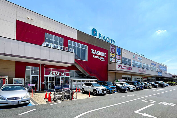 カスミ フードスクエア、マツモトキヨシ、ダイソー、コーナン、歯科、美容院などの入った商業施設