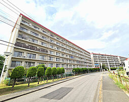 マンション柏サルビア