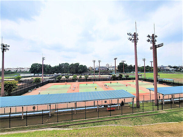 【南西側隣地】